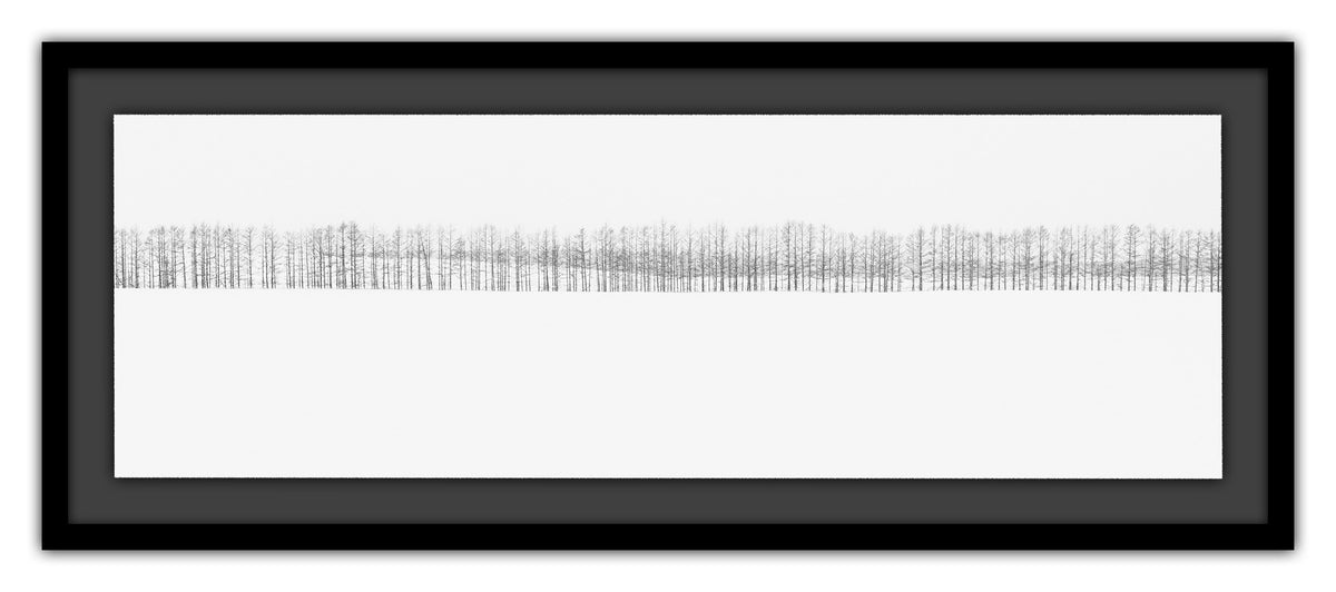Two-hundred Trees | 間
