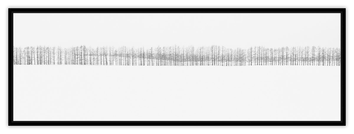 Two-hundred Trees | 間