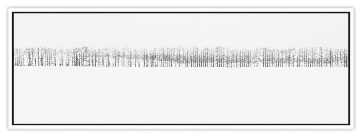 Two-hundred Trees | 間
