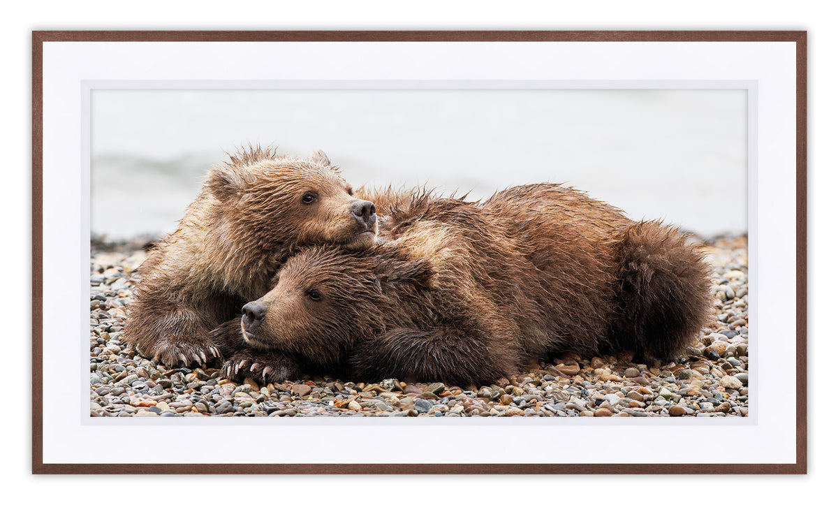 Bear Cub Cuddle