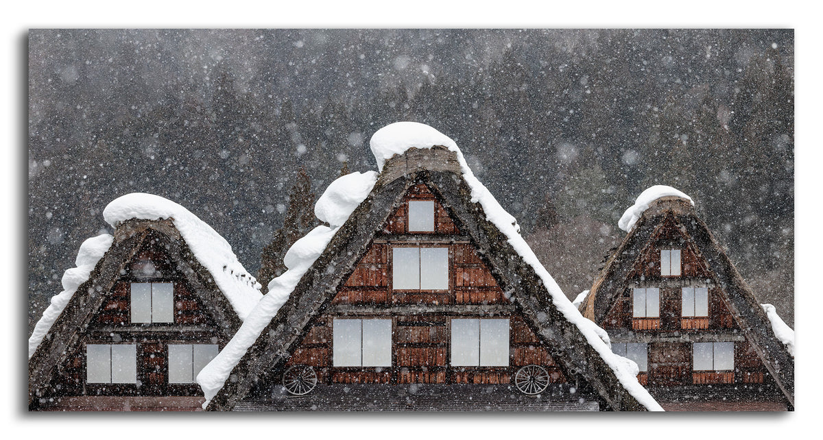 Beneath Winter's Roof