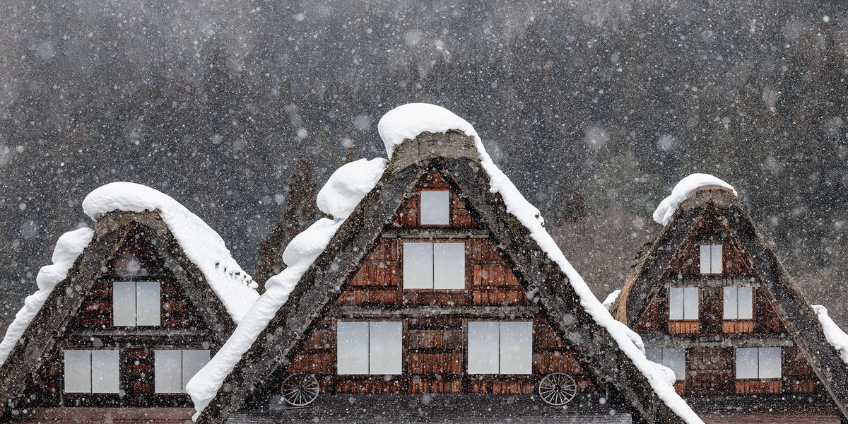 Beneath Winter's Roof