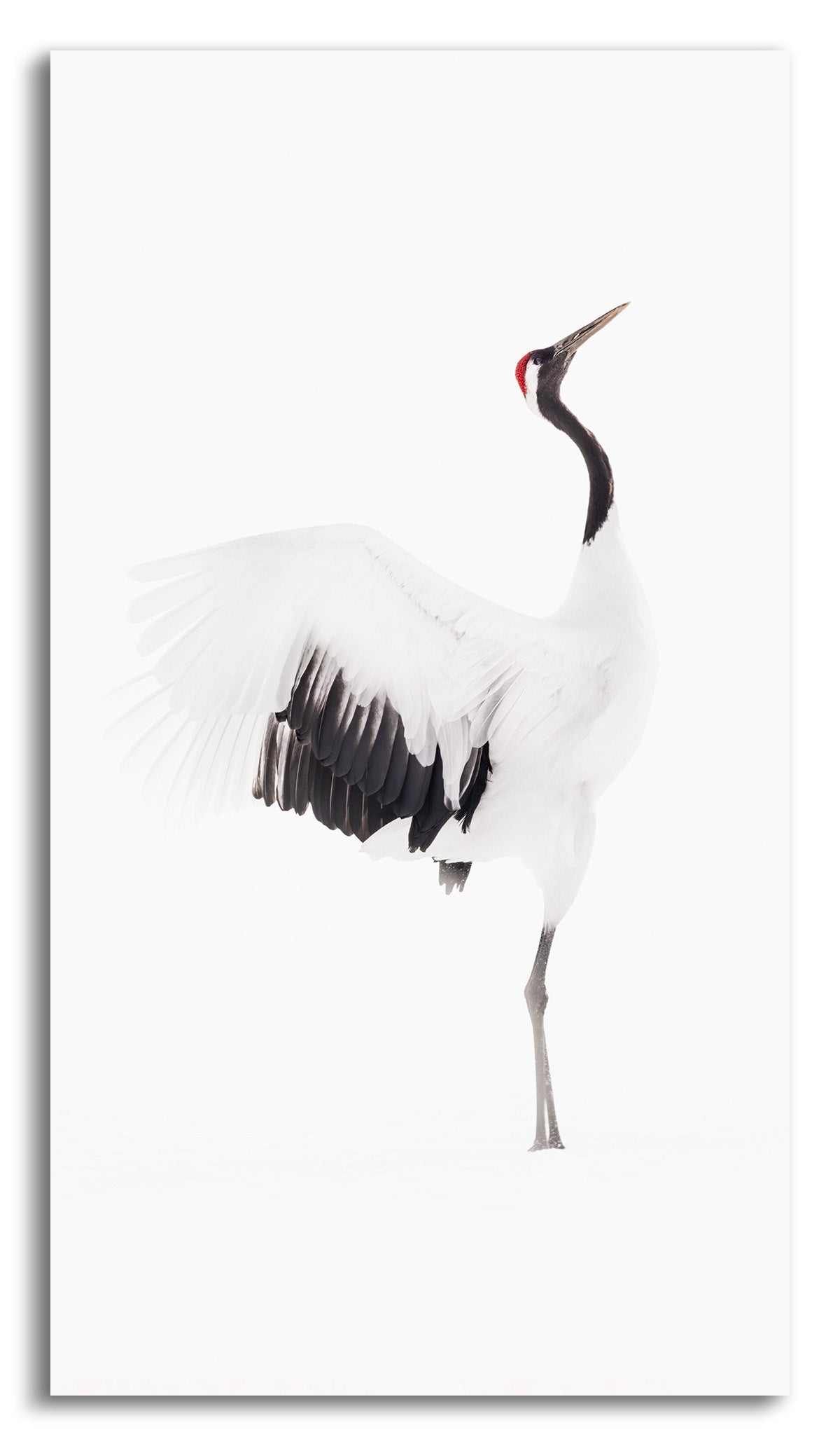 Harmony II