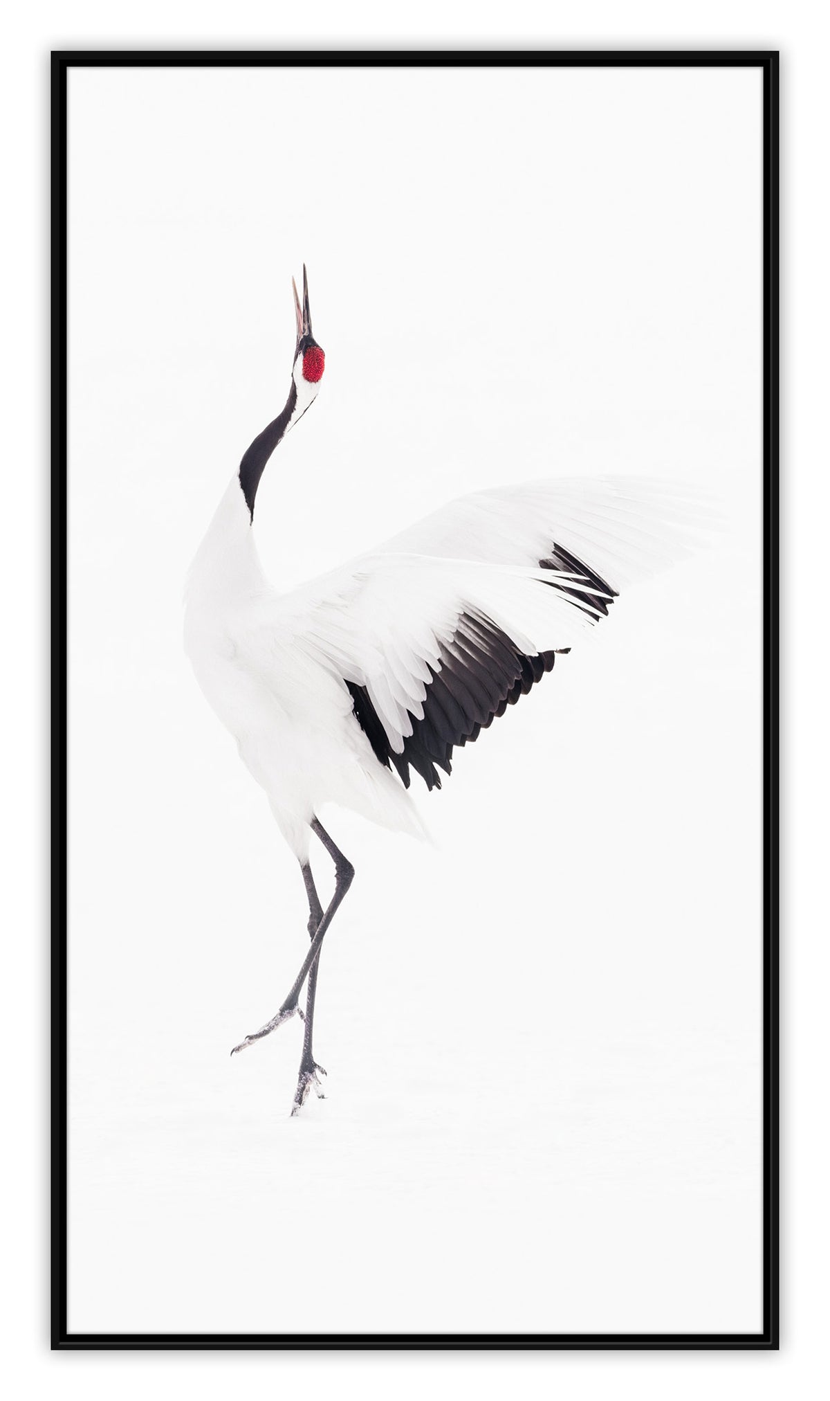Harmony III