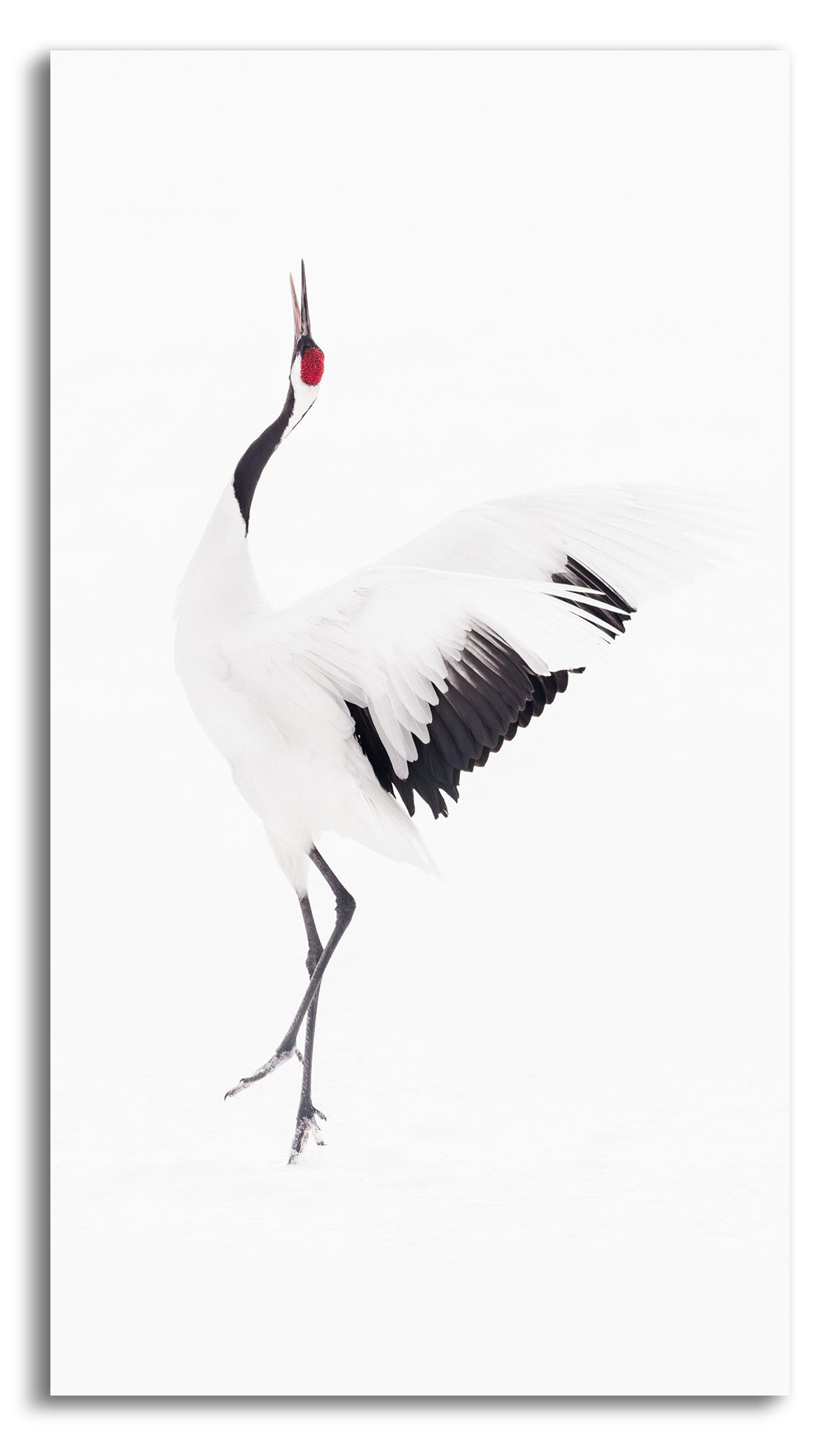 Harmony III