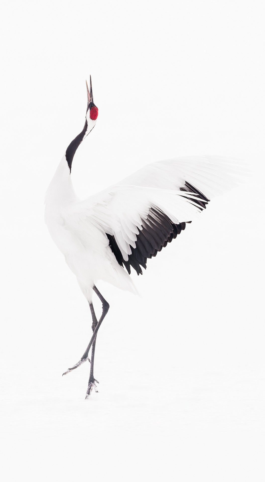 Harmony III