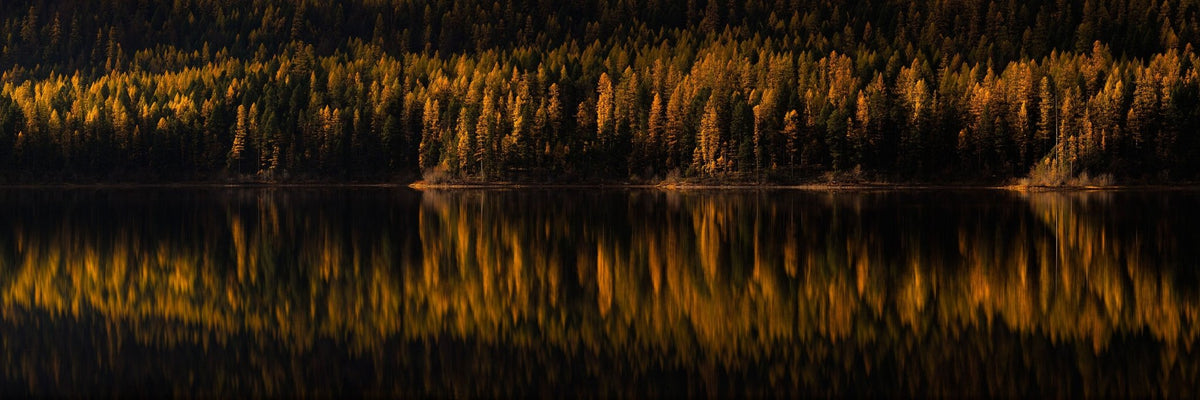 Lakes of Gold