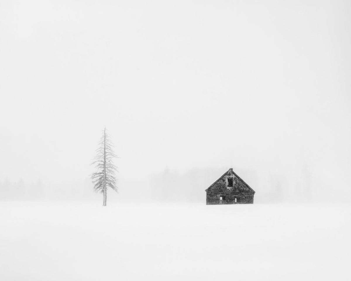 Lone Pine &amp; Cabin