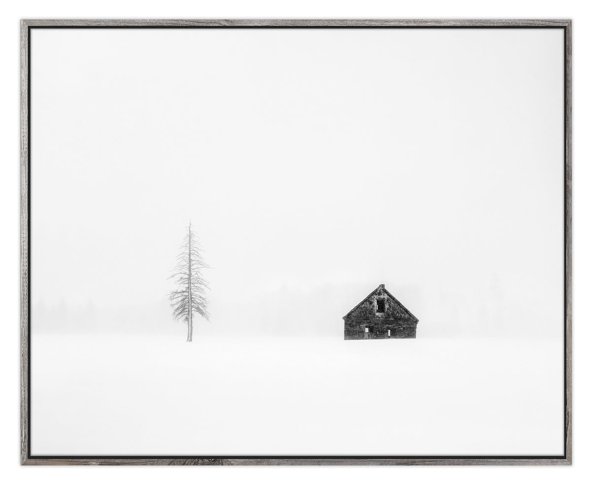 Lone Pine &amp; Cabin