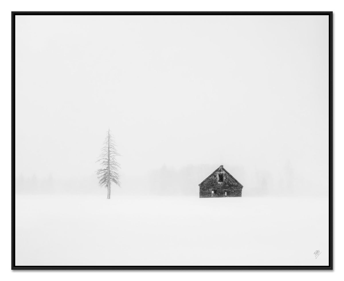 Lone Pine &amp; Cabin