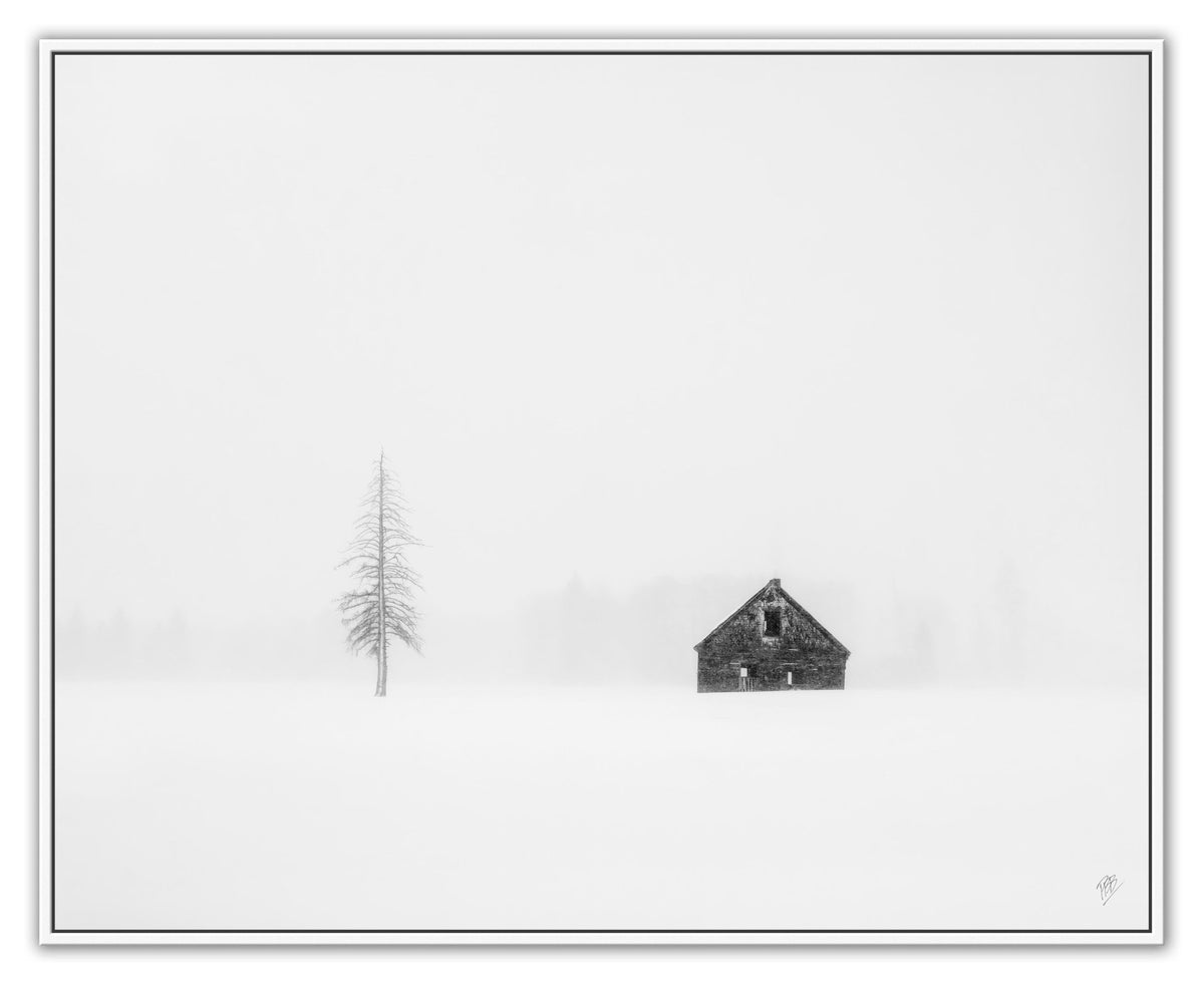 Lone Pine &amp; Cabin