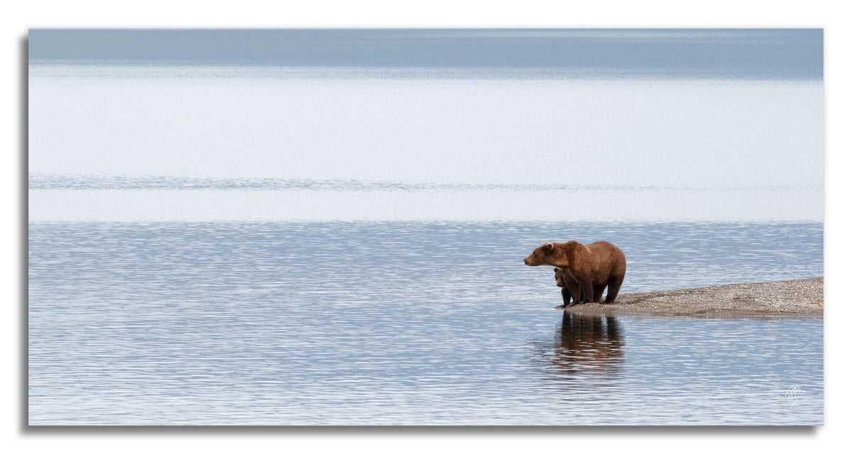 Mama and Cub Point