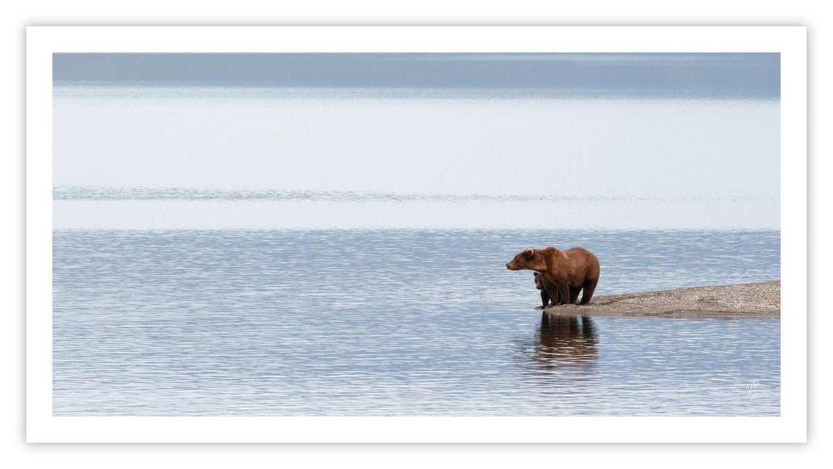 Mama and Cub Point