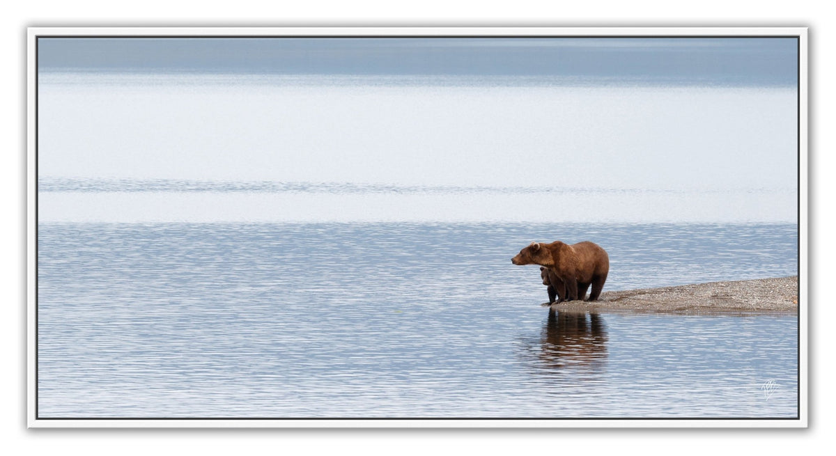 Mama and Cub Point