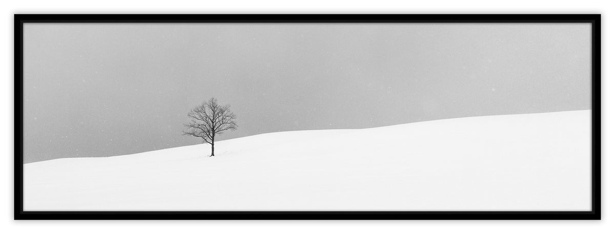 One Tree | 間