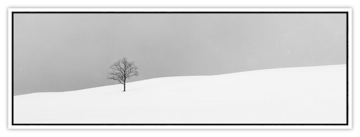 One Tree | 間