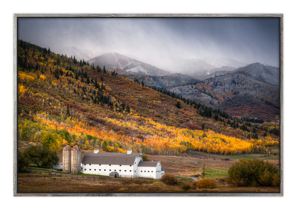 First Snow Fall Park City