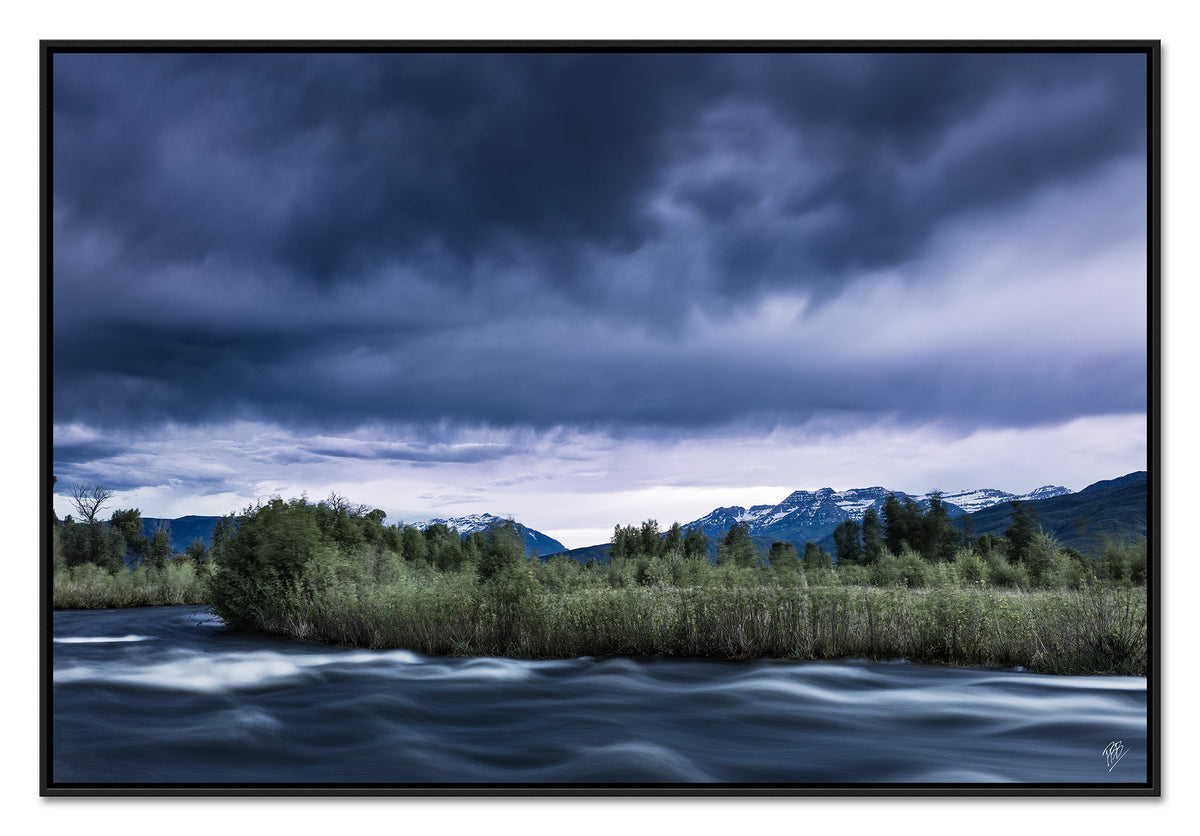 Provo River Spring Run