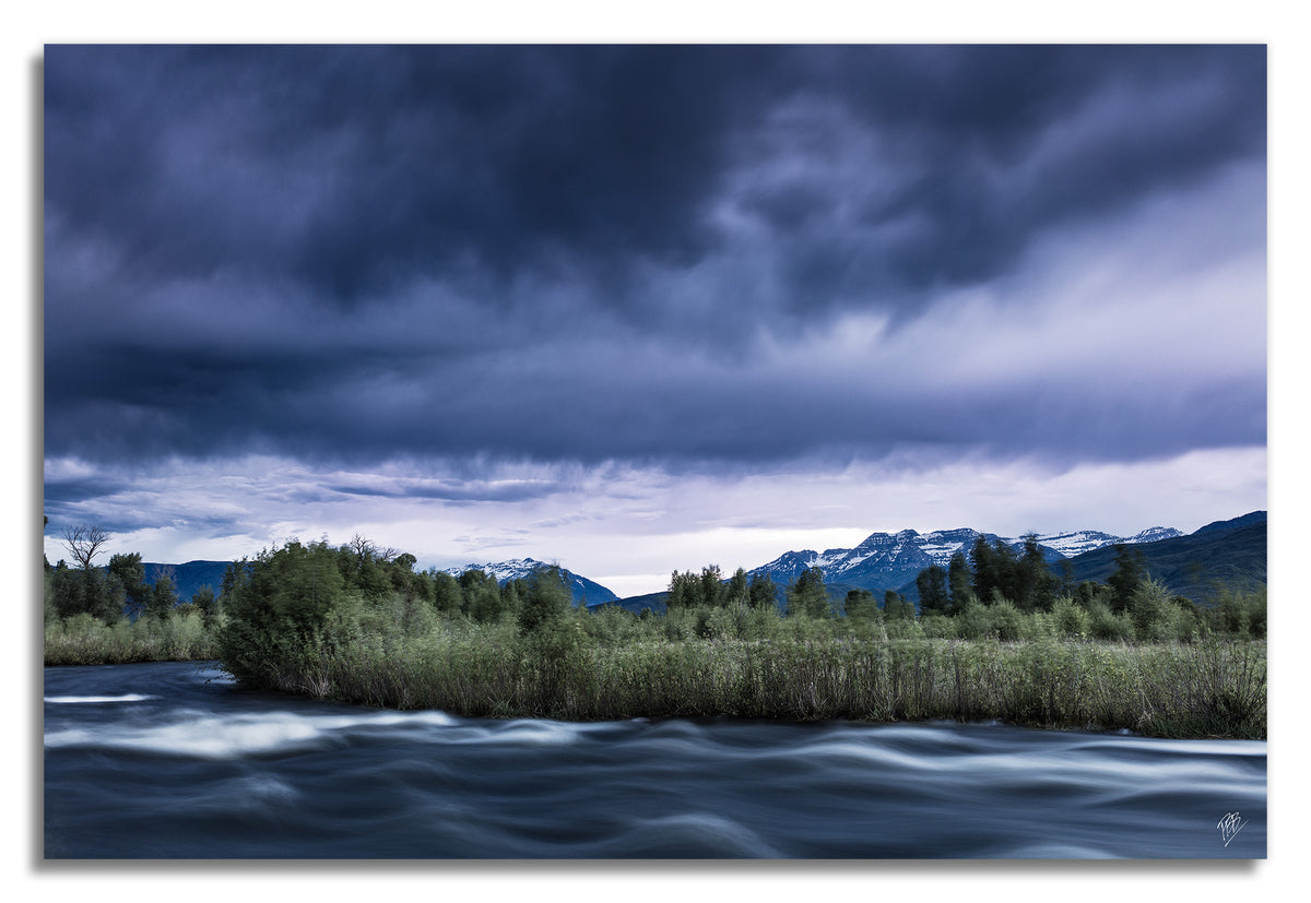 Provo River Spring Run