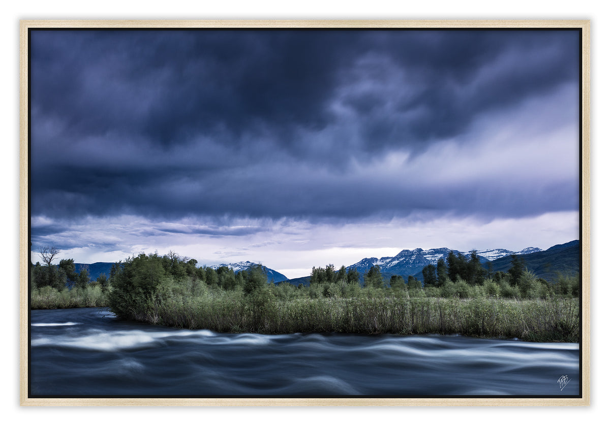 Provo River Spring Run