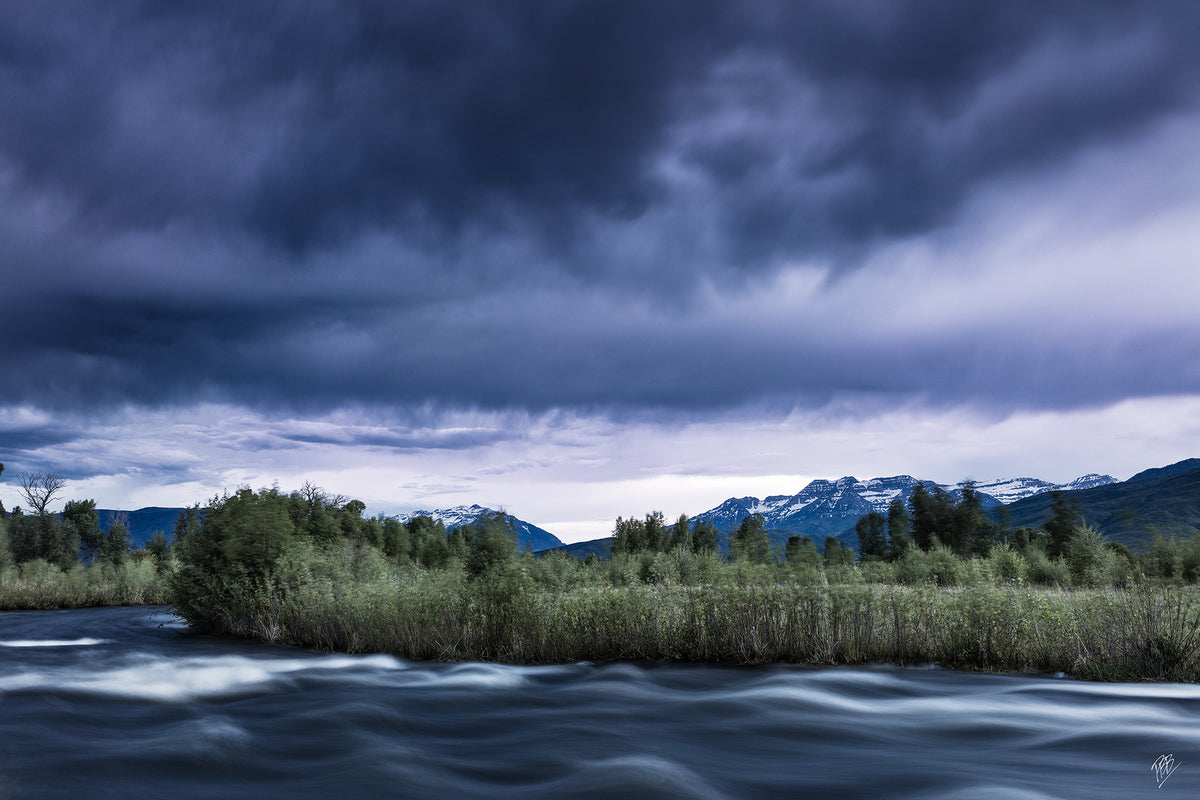 Provo River Spring Run