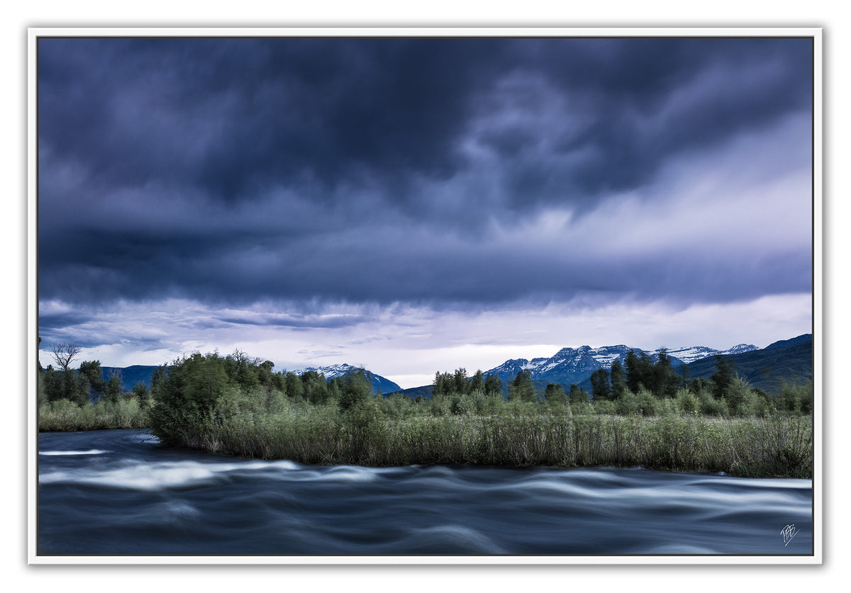 Provo River Spring Run