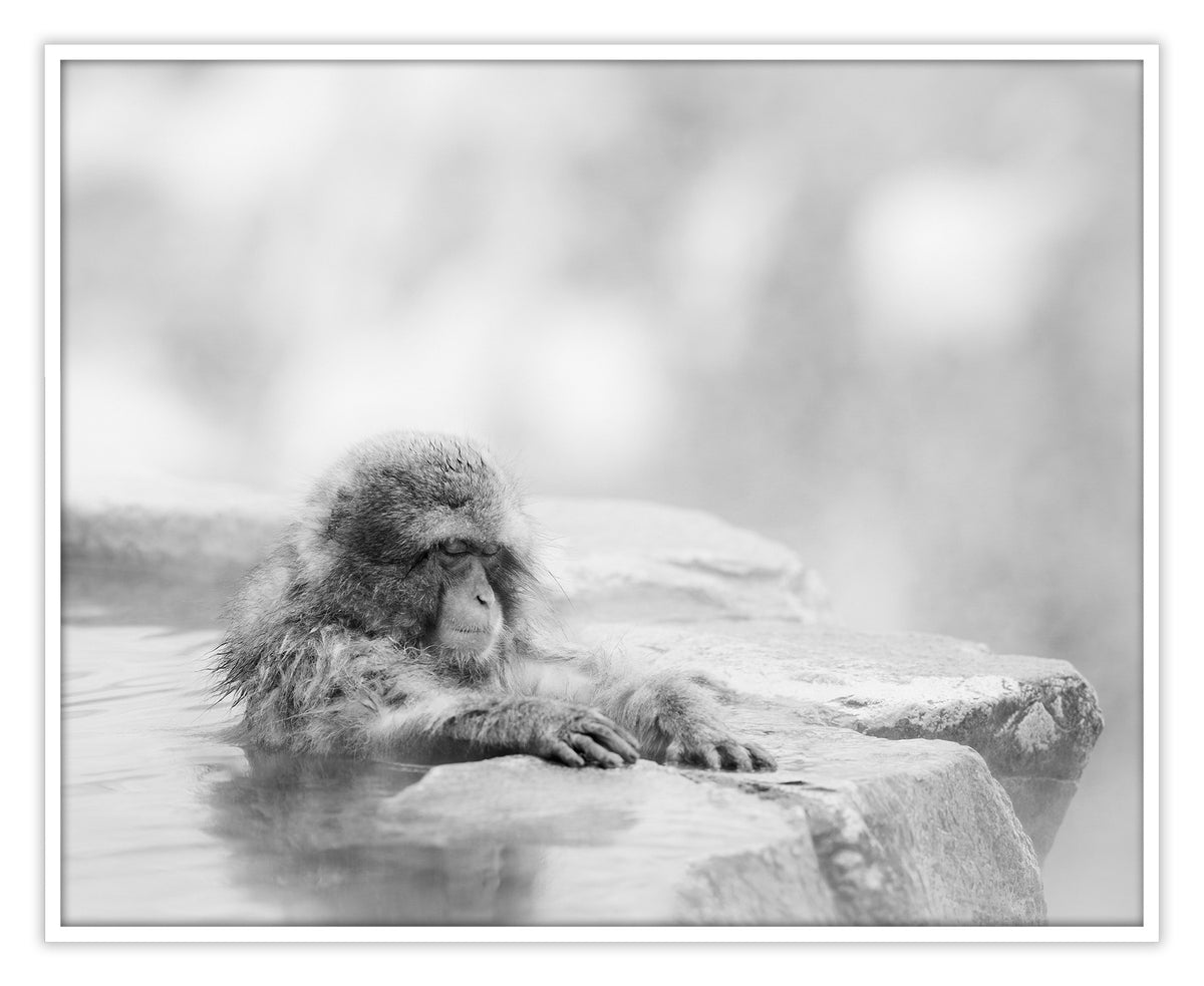 Quiet Mind IV