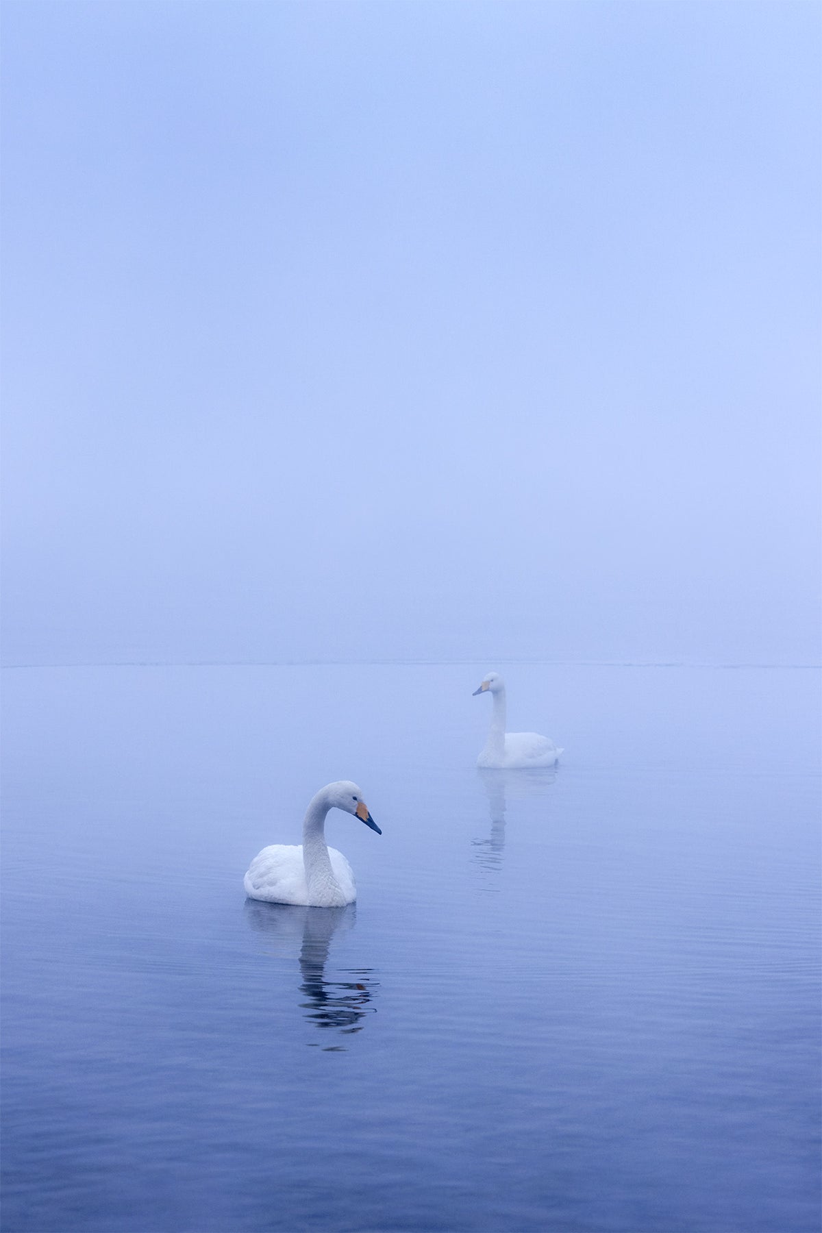 Quiet Company