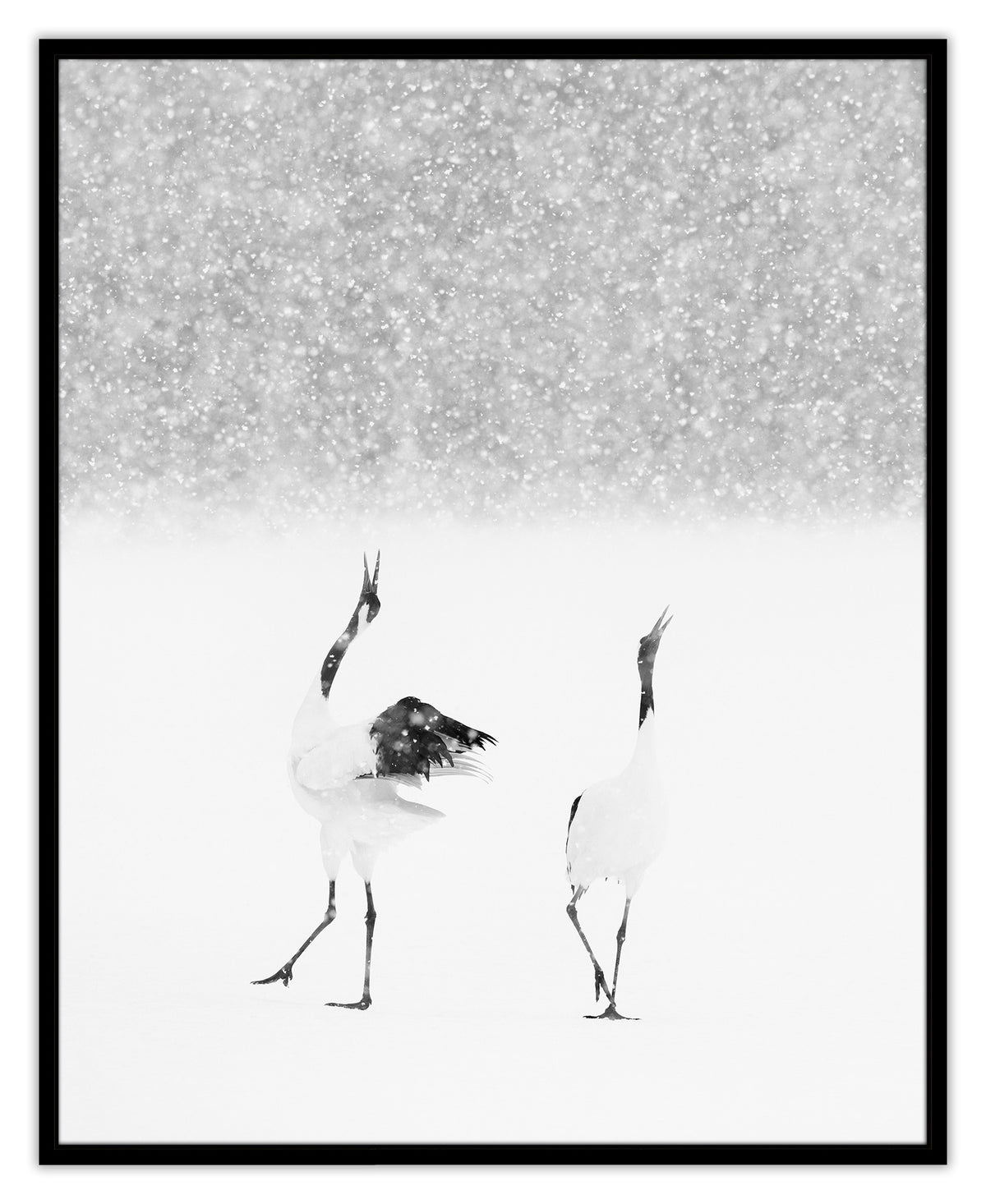 Snow Call