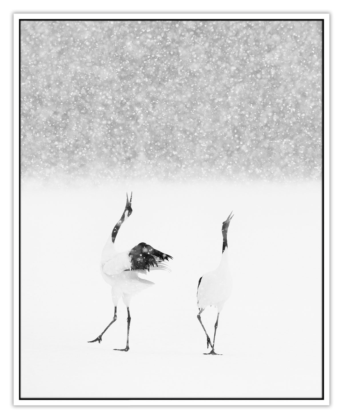 Snow Call