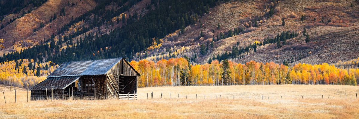 Star Valley Fall Barn