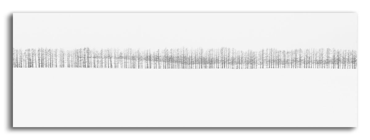 Two-hundred Trees | 間