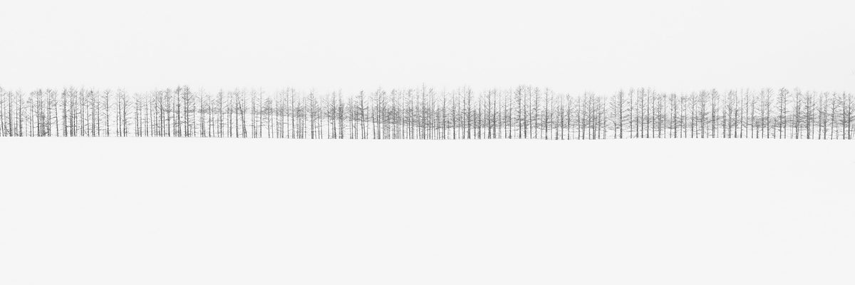 Two-hundred Trees | 間