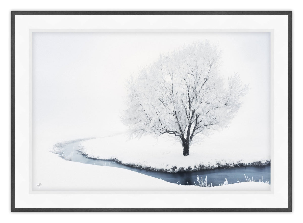 Whiteout Creek Frosted Tree